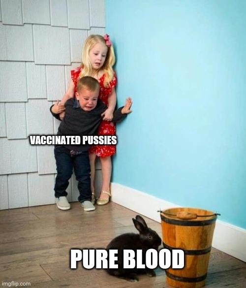 Children scared of rabbit | VACCINATED PUSSIES PURE BLOOD | image tagged in children scared of rabbit | made w/ Imgflip meme maker