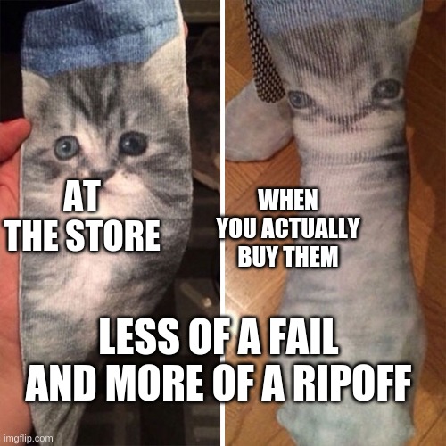 my socks look like a dumb cat | WHEN YOU ACTUALLY BUY THEM; AT THE STORE; LESS OF A FAIL AND MORE OF A RIPOFF | made w/ Imgflip meme maker