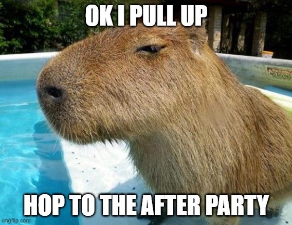 Side Eye Capybara | OK I PULL UP; HOP TO THE AFTER PARTY | image tagged in side eye capybara | made w/ Imgflip meme maker