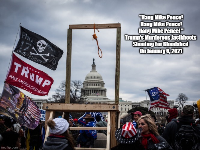 "Hang Mike Pence!" | "Hang Mike Pence! Hang Mike Pence! Hang Mike Pence! "
Trump's Murderous Jaclkboots 
Shouting For Bloodshed 
On January 6, 2021 | image tagged in hang mike pence,traitor trump,trumps insurrection,trumps sedition,january 6 | made w/ Imgflip meme maker