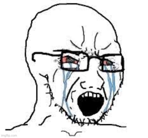 Crying Wojak | image tagged in crying wojak | made w/ Imgflip meme maker