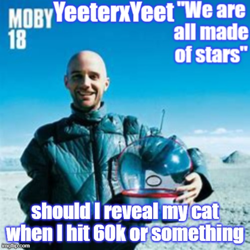Moby | should I reveal my cat when I hit 60k or something | image tagged in moby | made w/ Imgflip meme maker