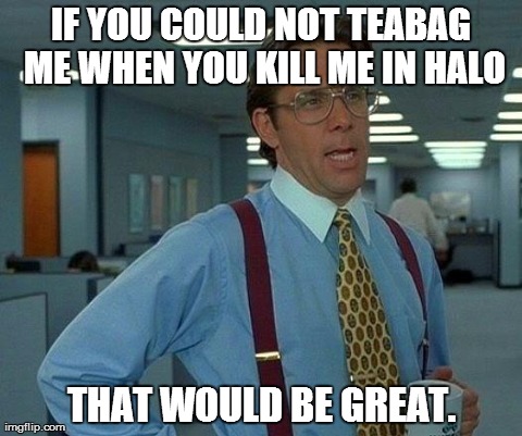 That Would Be Great Meme | IF YOU COULD NOT TEABAG ME WHEN YOU KILL ME IN HALO THAT WOULD BE GREAT. | image tagged in memes,that would be great | made w/ Imgflip meme maker