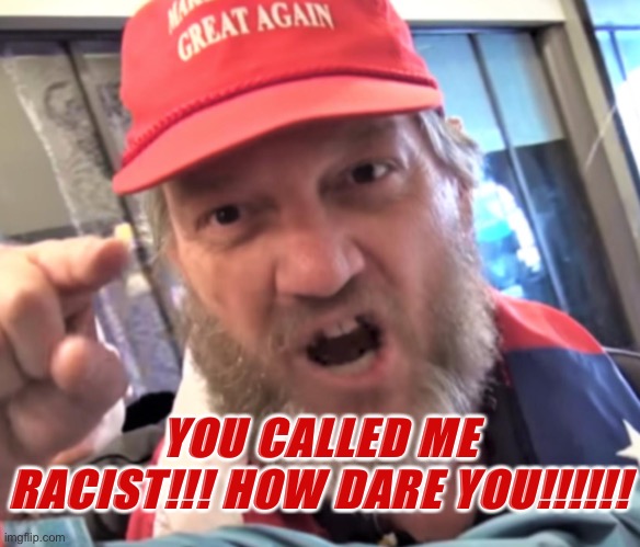 ANGRY TRUMPIE | YOU CALLED ME RACIST!!! HOW DARE YOU!!!!!! | image tagged in angry trumpie | made w/ Imgflip meme maker