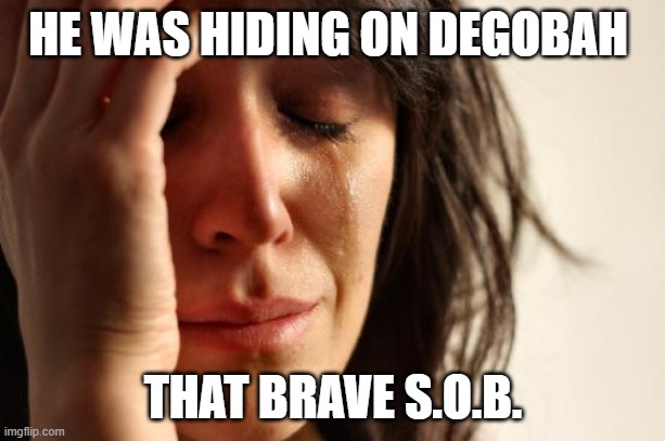 First World Problems Meme | HE WAS HIDING ON DEGOBAH THAT BRAVE S.O.B. | image tagged in memes,first world problems | made w/ Imgflip meme maker