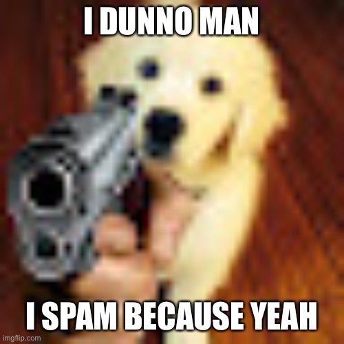 Dog gun | I DUNNO MAN; I SPAM BECAUSE YEAH | image tagged in dog gun | made w/ Imgflip meme maker