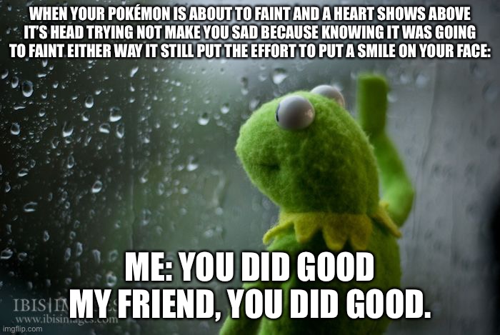 kermit window | WHEN YOUR POKÉMON IS ABOUT TO FAINT AND A HEART SHOWS ABOVE IT’S HEAD TRYING NOT MAKE YOU SAD BECAUSE KNOWING IT WAS GOING TO FAINT EITHER WAY IT STILL PUT THE EFFORT TO PUT A SMILE ON YOUR FACE:; ME: YOU DID GOOD MY FRIEND, YOU DID GOOD. | image tagged in kermit window | made w/ Imgflip meme maker