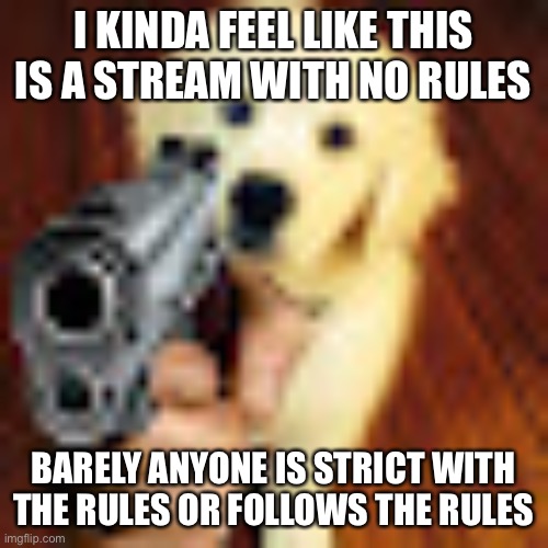 Dog gun | I KINDA FEEL LIKE THIS IS A STREAM WITH NO RULES; BARELY ANYONE IS STRICT WITH THE RULES OR FOLLOWS THE RULES | image tagged in dog gun | made w/ Imgflip meme maker