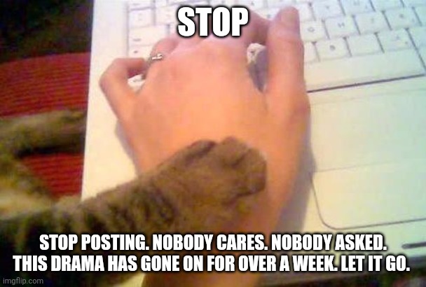 stop posting cat | STOP STOP POSTING. NOBODY CARES. NOBODY ASKED. THIS DRAMA HAS GONE ON FOR OVER A WEEK. LET IT GO. | image tagged in stop posting cat | made w/ Imgflip meme maker