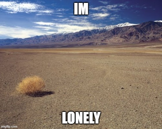 pl | IM; LONELY | image tagged in desert tumbleweed | made w/ Imgflip meme maker