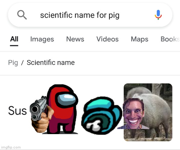 The what | image tagged in pig,sus,among us,when the imposter is sus,imposter | made w/ Imgflip meme maker