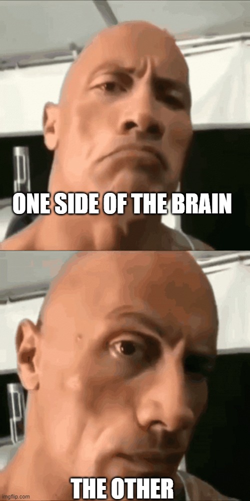 ONE SIDE OF THE BRAIN THE OTHER | made w/ Imgflip meme maker
