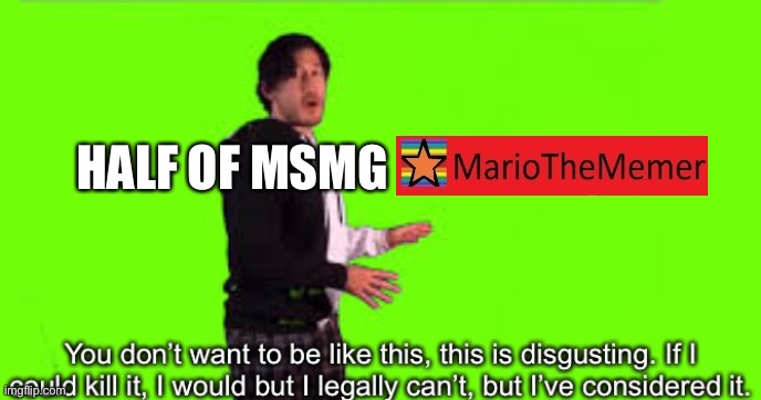 Rip Mario | HALF OF MSMG | image tagged in markiplier you don t want to be like this | made w/ Imgflip meme maker