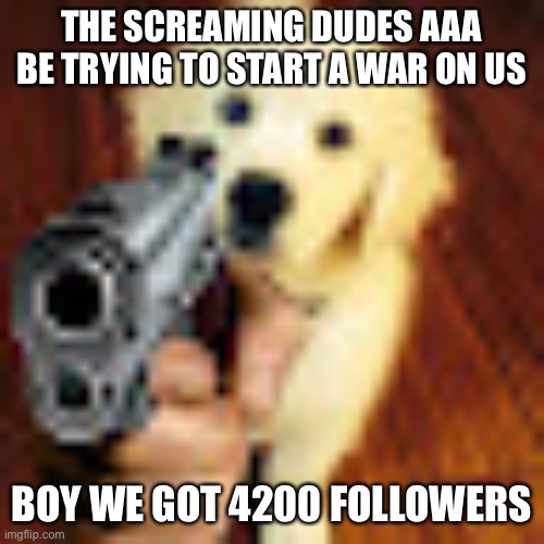 5 months ago and /j, no war | THE SCREAMING DUDES AAA BE TRYING TO START A WAR ON US; BOY WE GOT 4200 FOLLOWERS | image tagged in dog gun | made w/ Imgflip meme maker