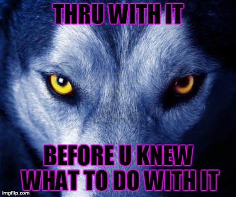 wolf | THRU WITH IT BEFORE U KNEW WHAT TO DO WITH IT | image tagged in wolf | made w/ Imgflip meme maker