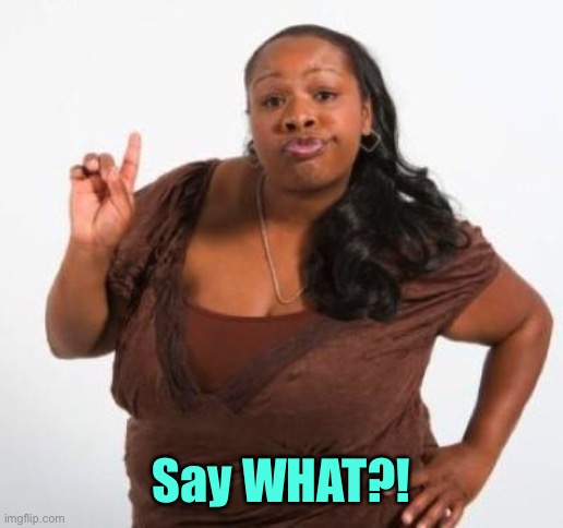 sassy black woman | Say WHAT?! | image tagged in sassy black woman | made w/ Imgflip meme maker