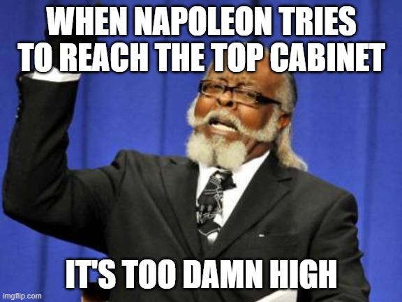 Too Damn High | WHEN NAPOLEON TRIES TO REACH THE TOP CABINET; IT'S TOO DAMN HIGH | image tagged in memes,too damn high | made w/ Imgflip meme maker