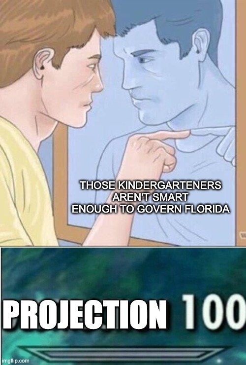 THOSE KINDERGARTENERS AREN'T SMART ENOUGH TO GOVERN FLORIDA PROJECTION | image tagged in pointing mirror guy,destruction 100 | made w/ Imgflip meme maker