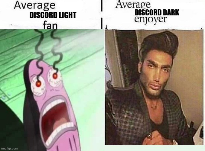 Discord in Discord | DISCORD DARK; DISCORD LIGHT | image tagged in memes,average blank fan vs average blank enjoyer,discord | made w/ Imgflip meme maker