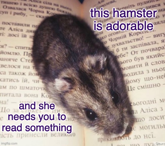 don't say no to the hamster | this hamster is adorable; and she needs you to read something | image tagged in literary hamster,books,reading,rodents,hamster,cute | made w/ Imgflip meme maker