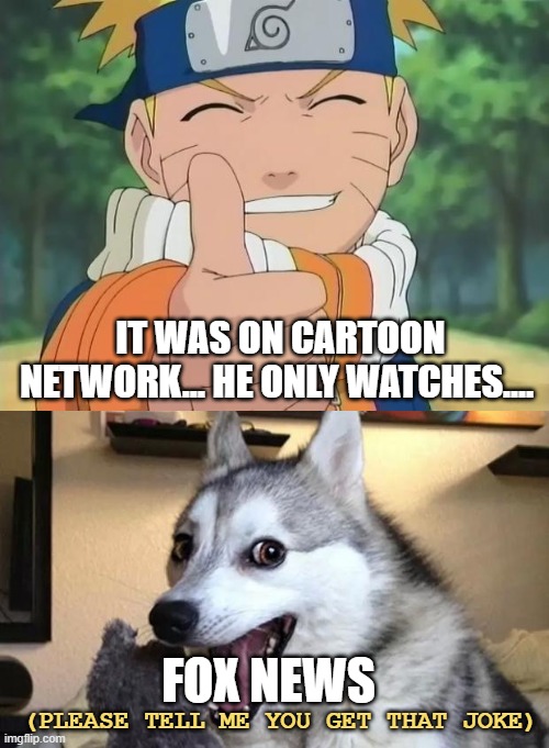 FOX NEWS IT WAS ON CARTOON NETWORK... HE ONLY WATCHES.... (PLEASE TELL ME YOU GET THAT JOKE) | image tagged in naruto thumbs up,pun dog - husky | made w/ Imgflip meme maker