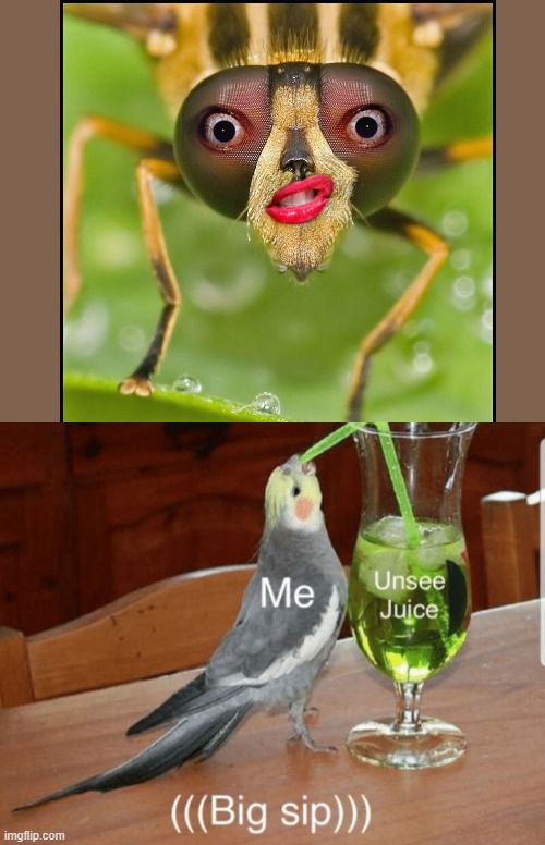 oh no | image tagged in unsee juice,insects,oh no | made w/ Imgflip meme maker