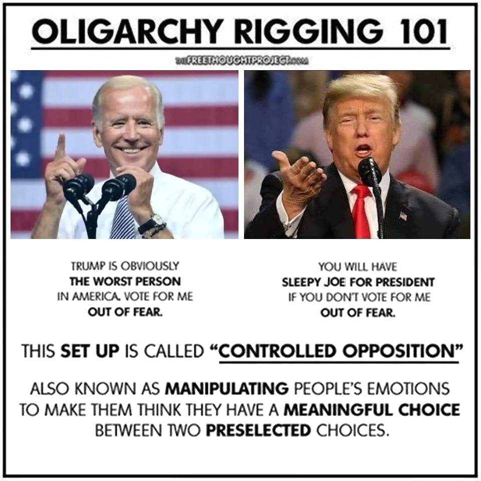 OLIGARCHY RIGGING 101 Blank Meme Template