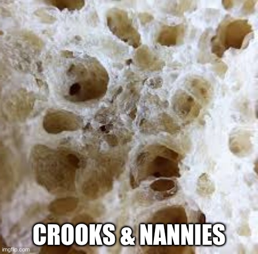 Spoonerism 1 | CROOKS & NANNIES | image tagged in spooner,spoonerism,funny,nooks and crannies,crooks and nannies | made w/ Imgflip meme maker