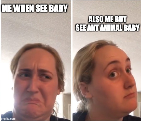 Kombucha Girl | ME WHEN SEE BABY; ALSO ME BUT SEE ANY ANIMAL BABY | image tagged in kombucha girl | made w/ Imgflip meme maker