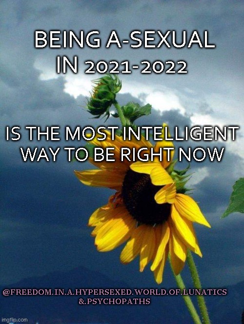 A-Sexuality Is Super Intelligent in 2021-2022 |  BEING A-SEXUAL IN 2021-2022; IS THE MOST INTELLIGENT WAY TO BE RIGHT NOW; @FREEDOM.IN.A.HYPERSEXED.WORLD.OF.LUNATICS &.PSYCHOPATHS | image tagged in it's so intelligent to be a-sexual,hyper,sexuality,stupidity,stupid liberals,dumb people | made w/ Imgflip meme maker
