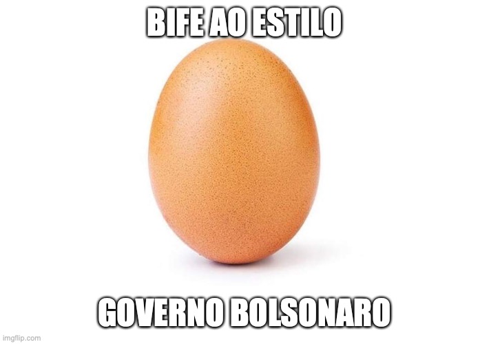 Ovo de bolsonaro | BIFE AO ESTILO; GOVERNO BOLSONARO | image tagged in bolsonaro,ovo,governo bolsonaro,brasil,fome,carne | made w/ Imgflip meme maker