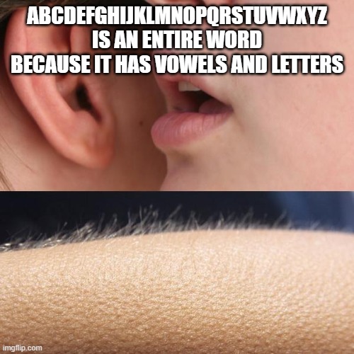 Whisper and Goosebumps | ABCDEFGHIJKLMNOPQRSTUVWXYZ IS AN ENTIRE WORD BECAUSE IT HAS VOWELS AND LETTERS | image tagged in whisper and goosebumps,memes | made w/ Imgflip meme maker