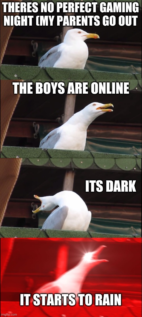 Inhaling Seagull Meme | THERES NO PERFECT GAMING NIGHT (MY PARENTS GO OUT; THE BOYS ARE ONLINE; ITS DARK; IT STARTS TO RAIN | image tagged in memes,inhaling seagull | made w/ Imgflip meme maker