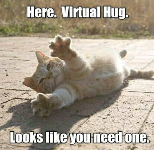 Here take a virtual hug. .. | image tagged in cats,virtual,hug,mental health | made w/ Imgflip meme maker