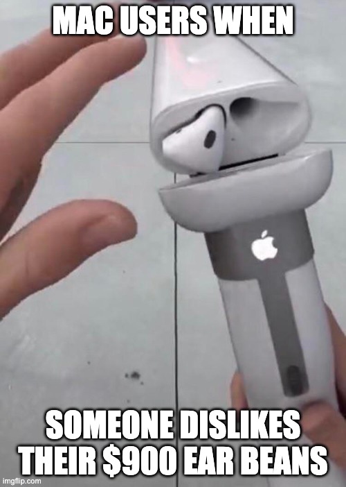 fr I dislike earbeans | MAC USERS WHEN; SOMEONE DISLIKES THEIR $900 EAR BEANS | image tagged in funny,memes,funny memes | made w/ Imgflip meme maker