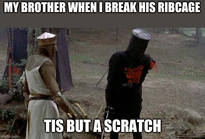 Tis but a scratch | MY BROTHER WHEN I BREAK HIS RIBCAGE; TIS BUT A SCRATCH | image tagged in tis but a scratch | made w/ Imgflip meme maker