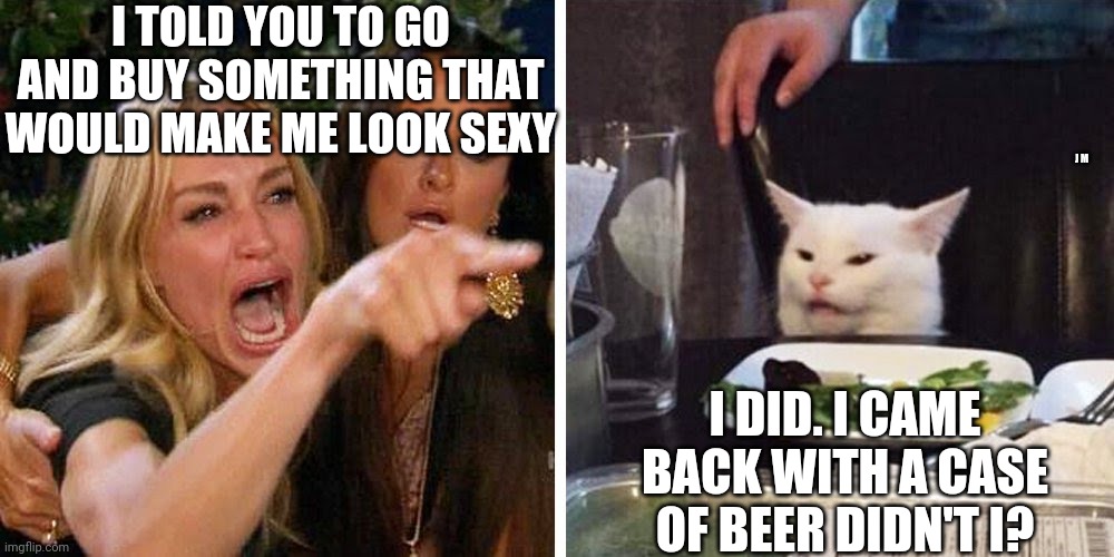 Smudge the cat | I TOLD YOU TO GO AND BUY SOMETHING THAT WOULD MAKE ME LOOK SEXY; J M; I DID. I CAME BACK WITH A CASE OF BEER DIDN'T I? | image tagged in smudge the cat | made w/ Imgflip meme maker