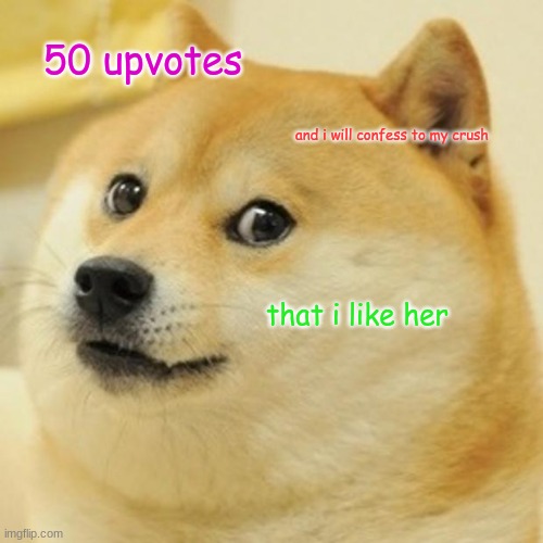 actually please dont upvote | 50 upvotes; and i will confess to my crush; that i like her | image tagged in memes,doge | made w/ Imgflip meme maker
