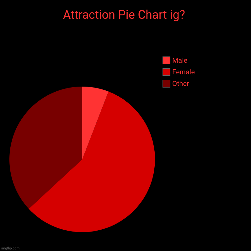 Those who thought I wouldn't do it...I did it. | Attraction Pie Chart ig? | Other, Female, Male | image tagged in charts,pie charts | made w/ Imgflip chart maker