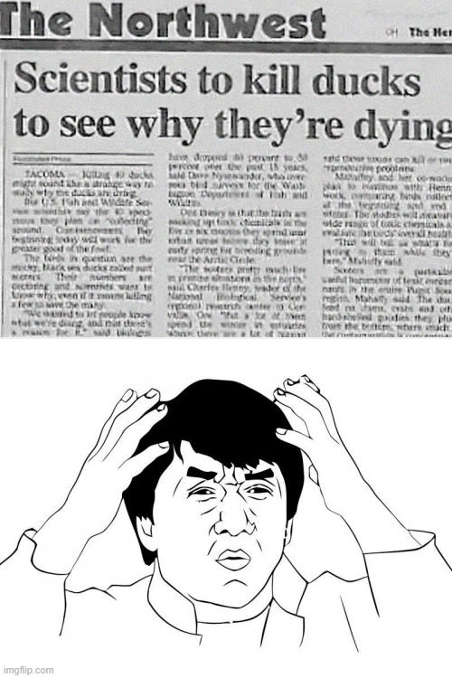 what? | image tagged in memes,jackie chan wtf | made w/ Imgflip meme maker