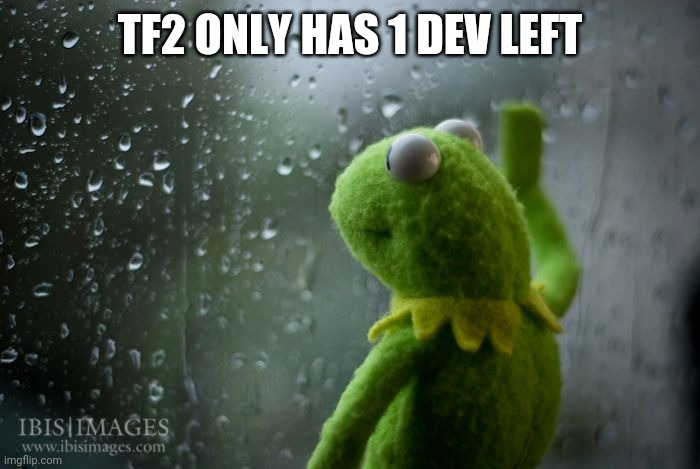 kermit window | TF2 ONLY HAS 1 DEV LEFT | image tagged in kermit window | made w/ Imgflip meme maker