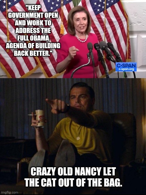 Most of us knew it was Obama's third term. | "KEEP GOVERNMENT OPEN AND WORK TO ADDRESS THE FULL OBAMA AGENDA OF BUILDING BACK BETTER."; CRAZY OLD NANCY LET THE CAT OUT OF THE BAG. | image tagged in memes | made w/ Imgflip meme maker