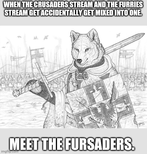 New template! It's called fursader, I'll try leaving a link in the comment section. duke art by simul | WHEN THE CRUSADERS STREAM AND THE FURRIES STREAM GET ACCIDENTALLY GET MIXED INTO ONE. MEET THE FURSADERS. | image tagged in fursader,furry,furries | made w/ Imgflip meme maker