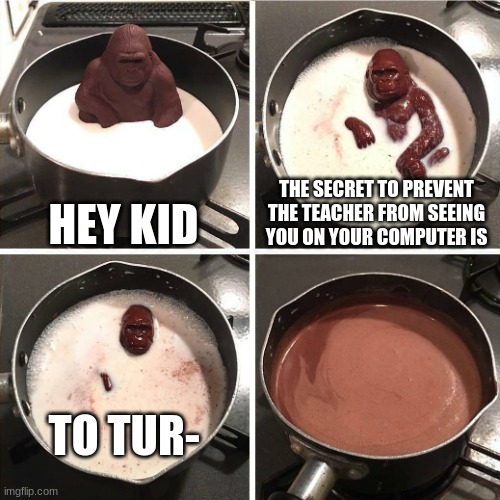 idk | HEY KID; THE SECRET TO PREVENT THE TEACHER FROM SEEING YOU ON YOUR COMPUTER IS; TO TUR- | image tagged in chocolate gorilla | made w/ Imgflip meme maker