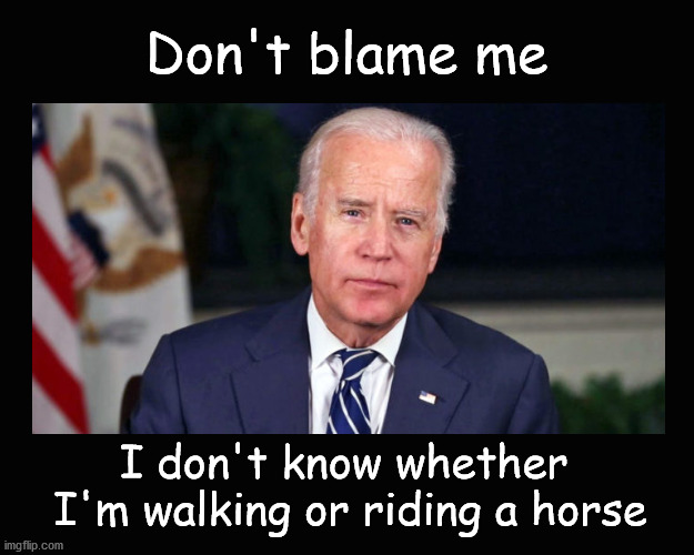 Biden not at fault ... | Don't blame me; I don't know whether 
I'm walking or riding a horse | image tagged in biden | made w/ Imgflip meme maker