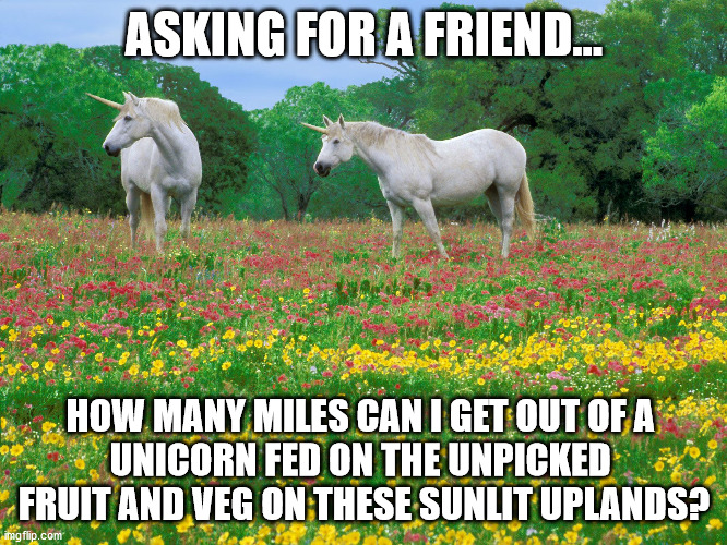 Brexit unicorns | ASKING FOR A FRIEND... HOW MANY MILES CAN I GET OUT OF A 
UNICORN FED ON THE UNPICKED 
FRUIT AND VEG ON THESE SUNLIT UPLANDS? | image tagged in unicorns in a field of flowers | made w/ Imgflip meme maker