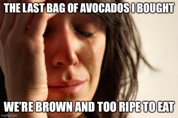 First World Problems Meme | THE LAST BAG OF AVOCADOS I BOUGHT WE’RE BROWN AND TOO RIPE TO EAT | image tagged in memes,first world problems | made w/ Imgflip meme maker