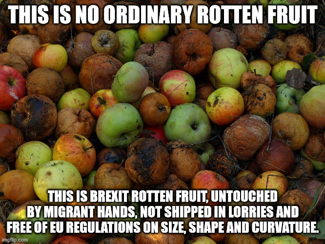 Brexit rotten fruit |  THIS IS NO ORDINARY ROTTEN FRUIT; THIS IS BREXIT ROTTEN FRUIT, UNTOUCHED BY MIGRANT HANDS, NOT SHIPPED IN LORRIES AND FREE OF EU REGULATIONS ON SIZE, SHAPE AND CURVATURE. | made w/ Imgflip meme maker