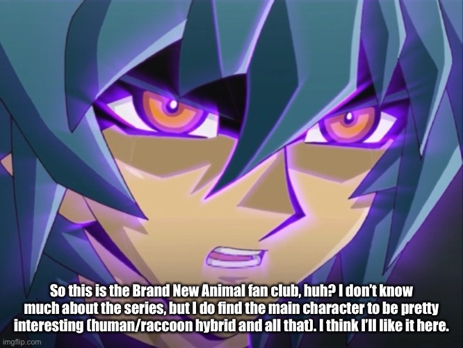 Sorry if I don’t have too much knowledge on the series, I only know what I’ve seen from the trailer. | So this is the Brand New Animal fan club, huh? I don’t know much about the series, but I do find the main character to be pretty interesting (human/raccoon hybrid and all that). I think I’ll like it here. | image tagged in brand new animal,anime,michuru | made w/ Imgflip meme maker