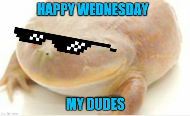 WEDNESDAY IS HERE BOI 9/29/21 |  HAPPY WEDNESDAY; MY DUDES | image tagged in it's wednesday my dudes | made w/ Imgflip meme maker
